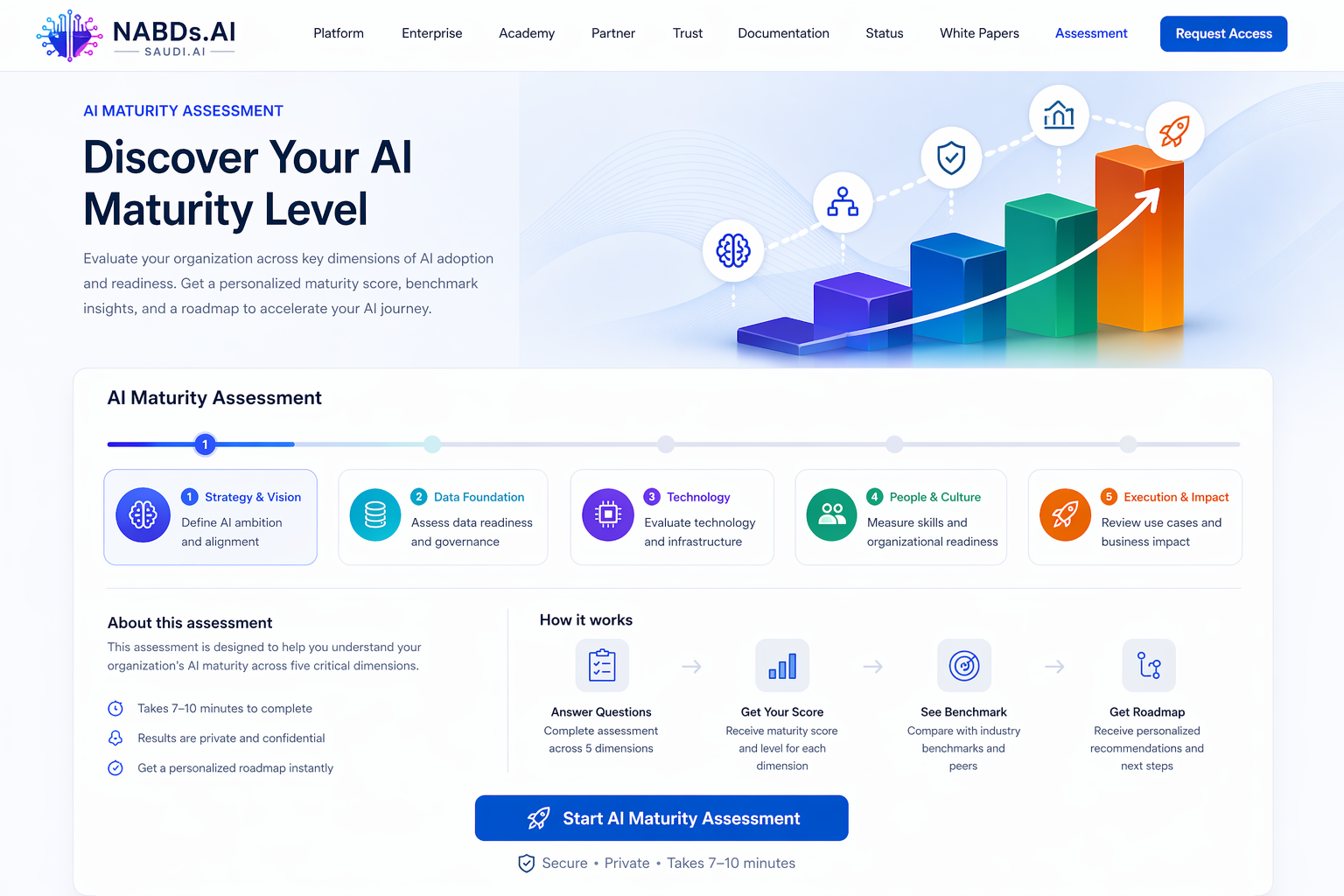 AI Maturity Assessment Preview